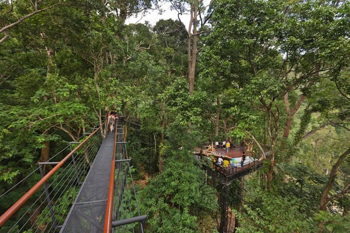 jambatan gantung dalam hutan dengan orang di atasnya