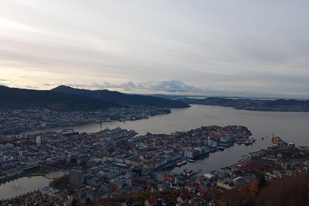 an aerial view of a city and a river