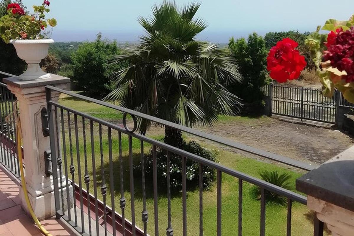 ein Balkon mit Zaun und Palme