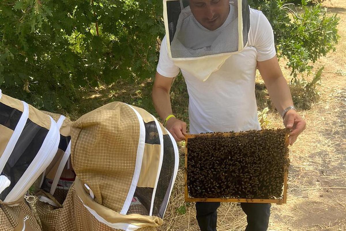 ein Mann, der einen Bienenstock oben hält