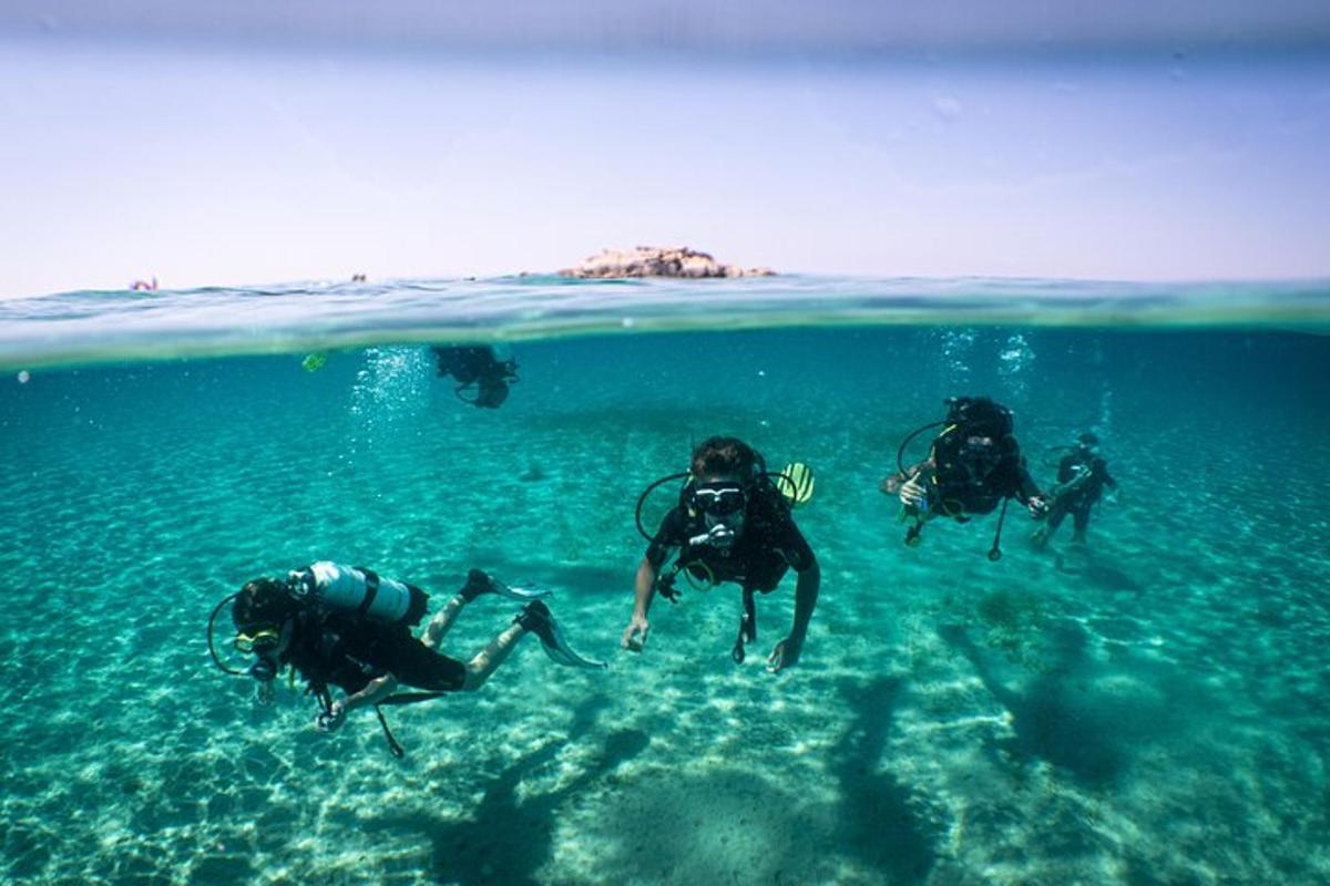 un grupo de personas nadando en el agua