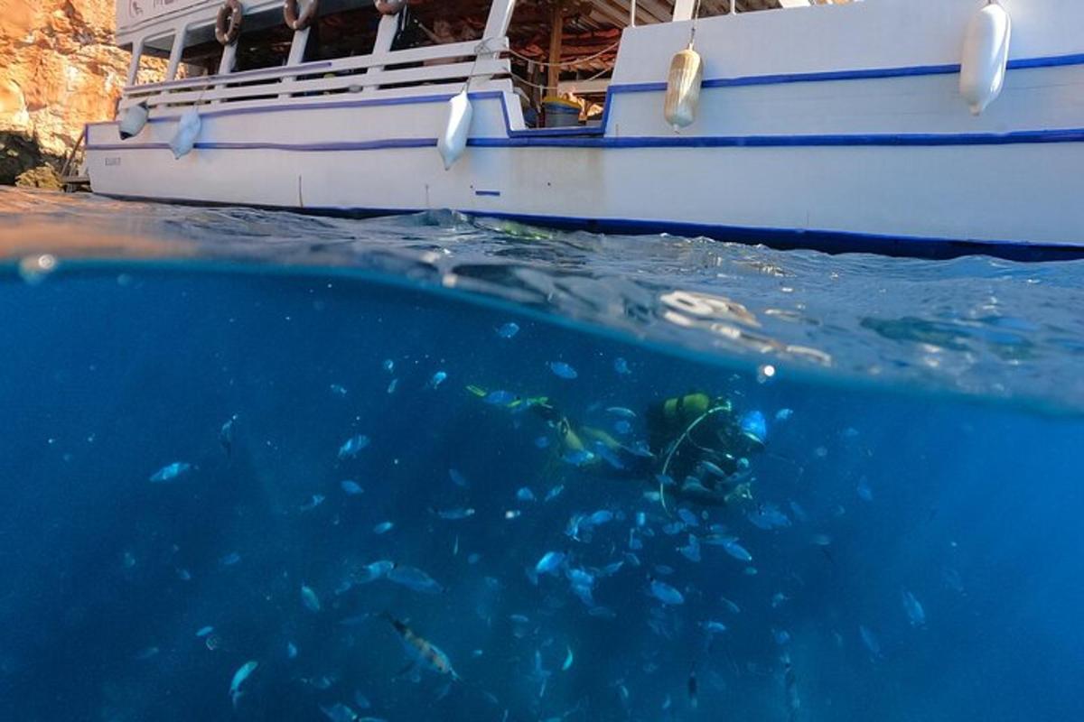 ein Boot im Wasser mit einer Gruppe von Fischen