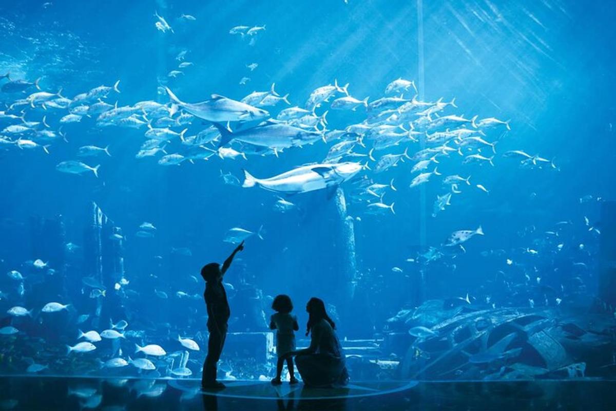 Attraction picture 5