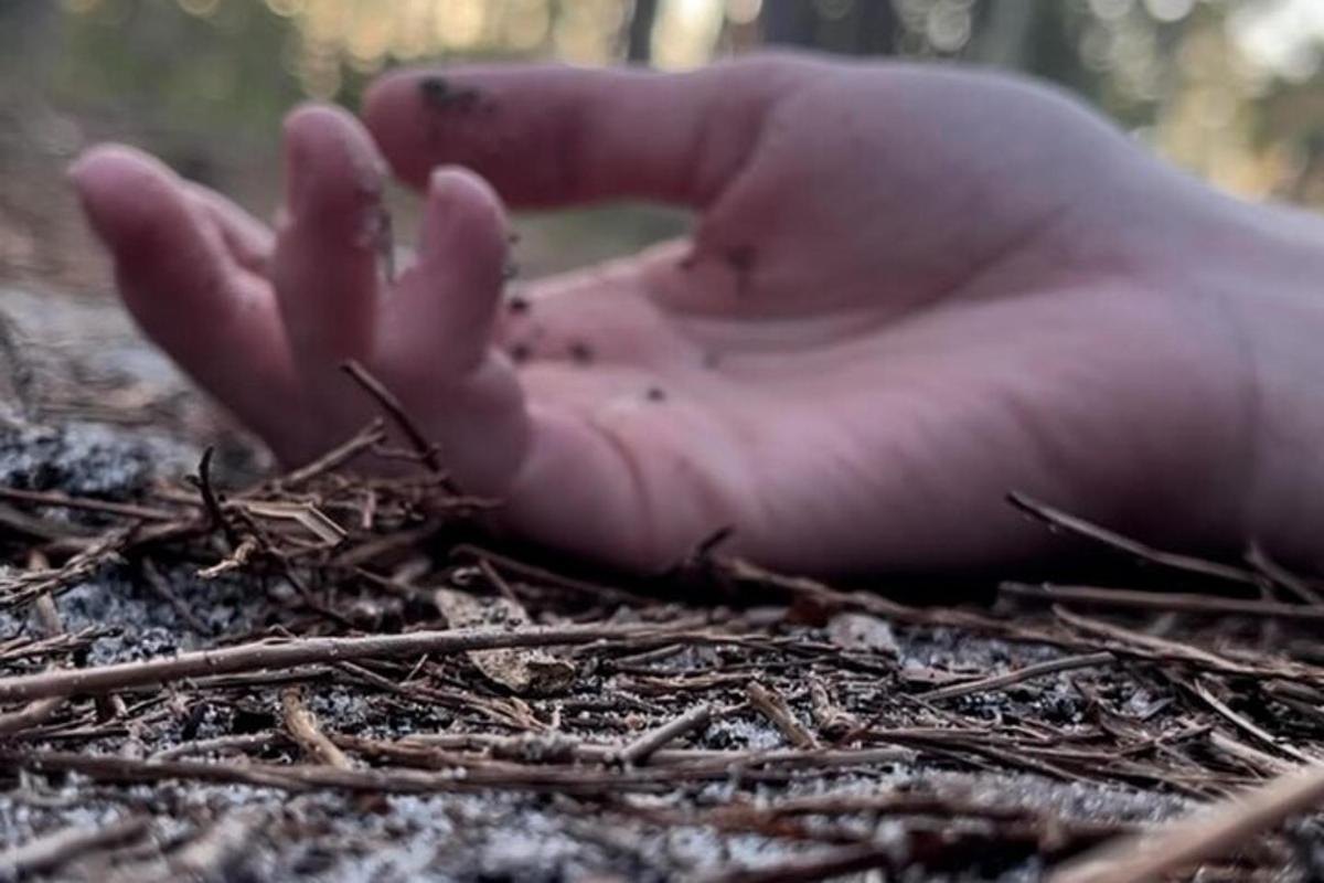 ruka osoby trčící z hromady klacíků