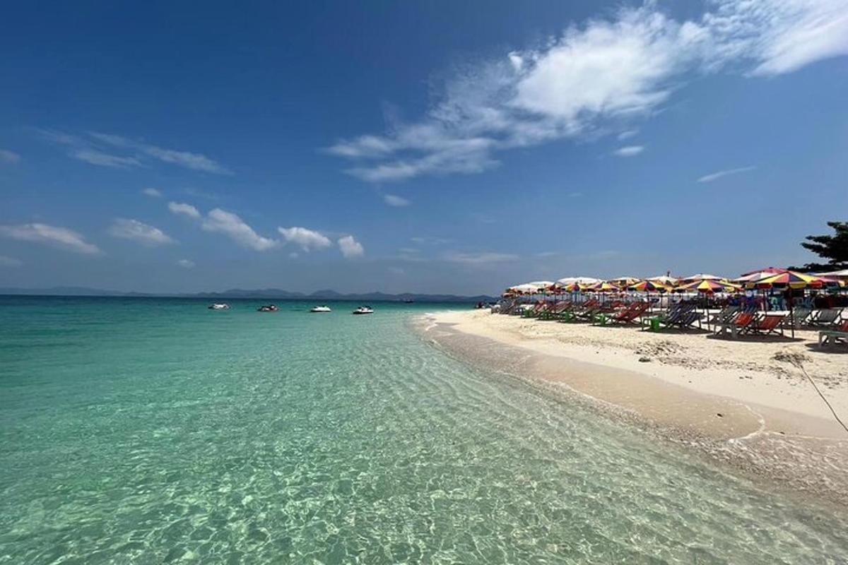 o plajă cu șezlonguri și umbrele și oceanul