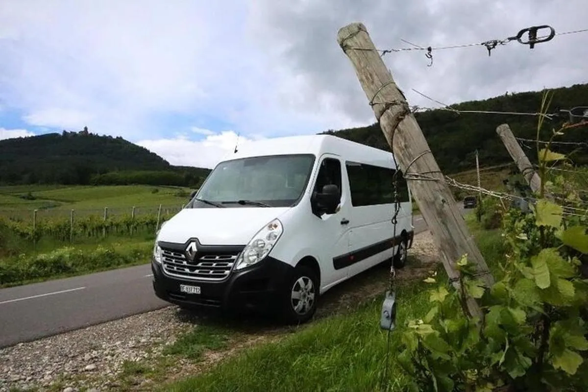 Au départ de Bâle, excursion d'une journée à Colmar Hohenkönigsburg et Ribeauvillé – photo 4