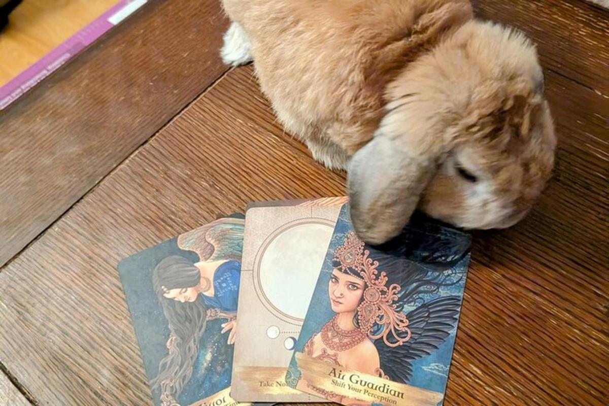 Un animal de peluche está parado junto a un libro.