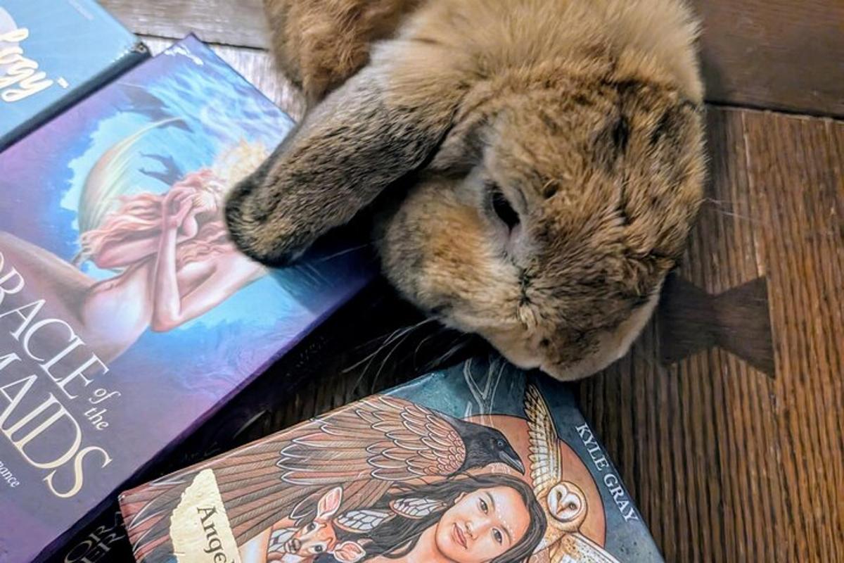 un coniglio di peluche è sdraiato accanto ad alcuni libri