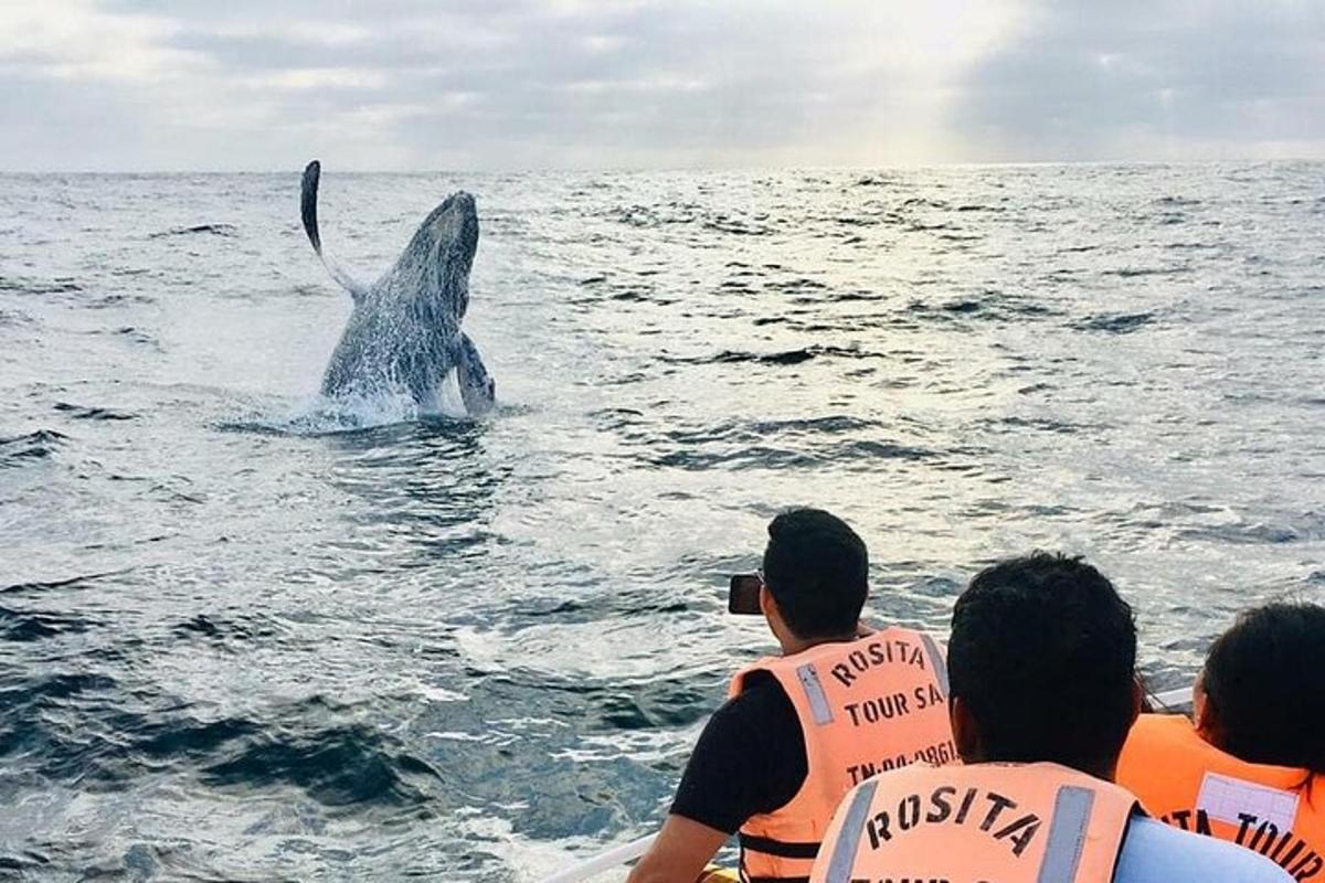 Lankytinos vietos ar pramogos nuotrauka numeris 3