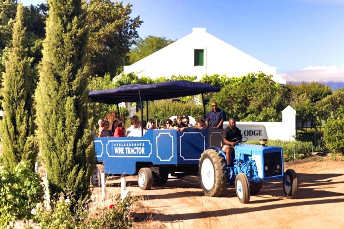 Lankytinos vietos ar pramogos nuotrauka numeris 2