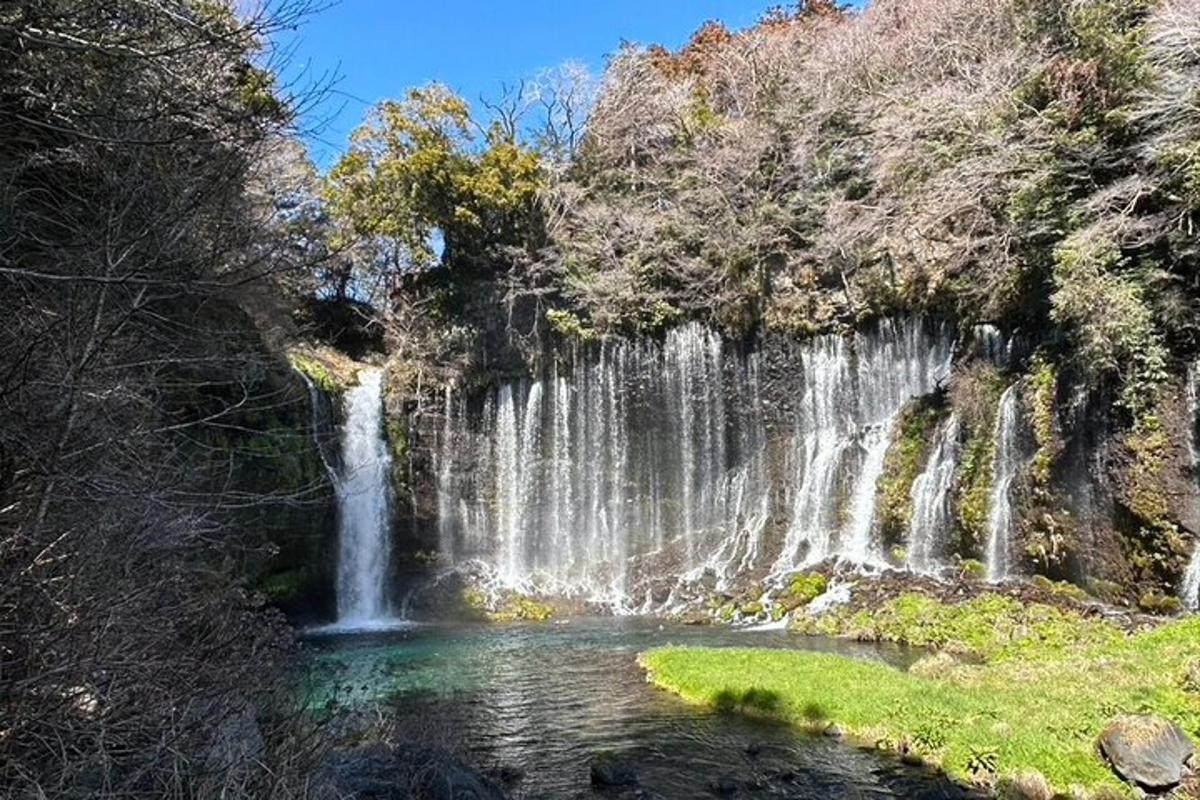 Lankytinos vietos ar pramogos nuotrauka numeris 7