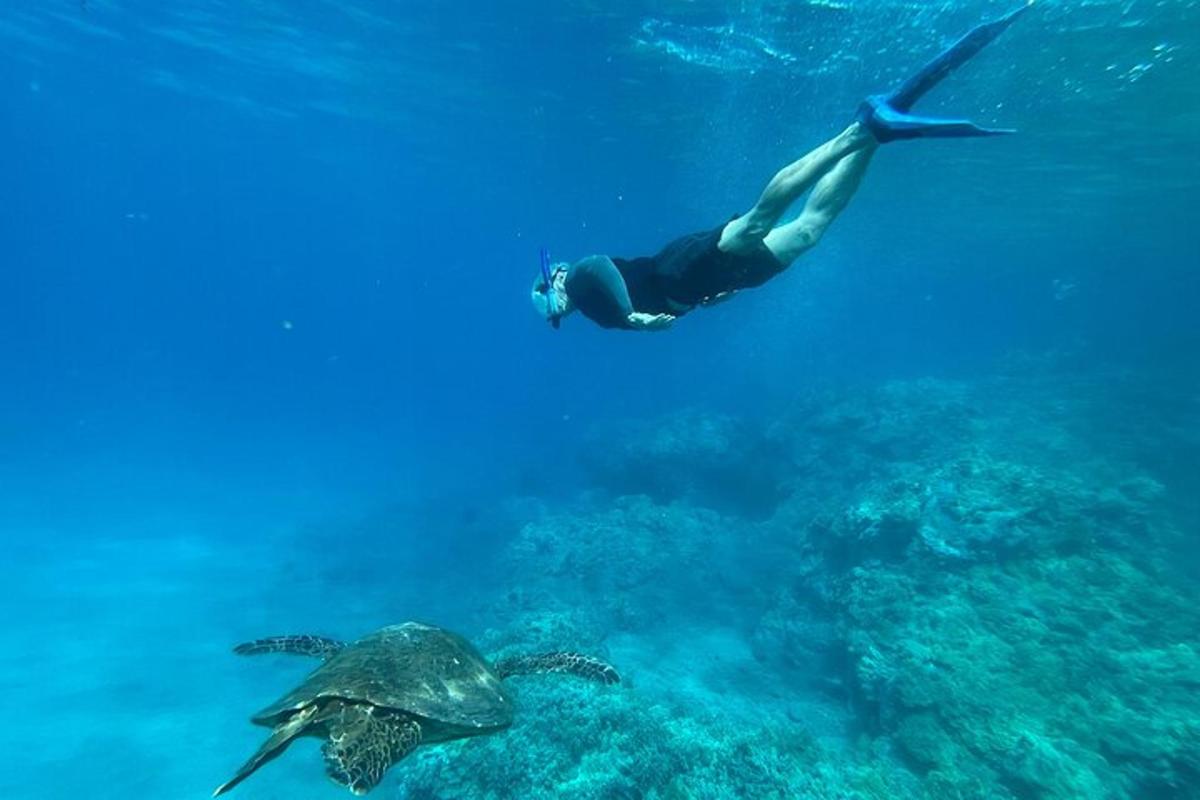 osoba plavající v oceánu s želvou