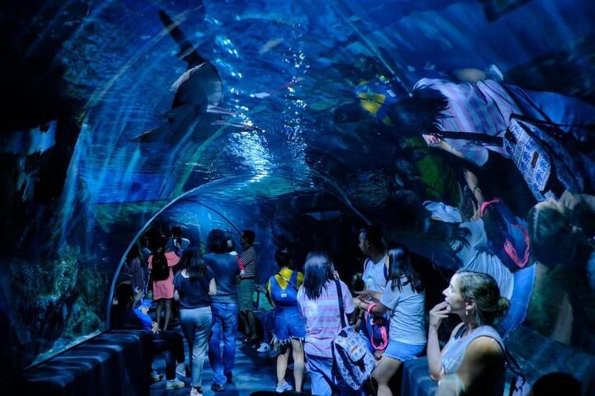 Attraction picture 5