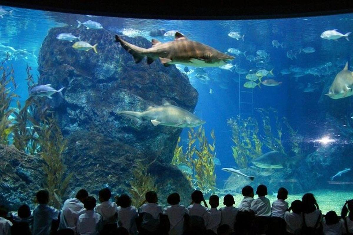 Attraction picture 6