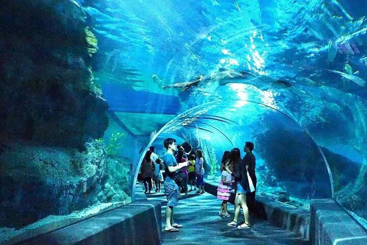 Attraction picture 7