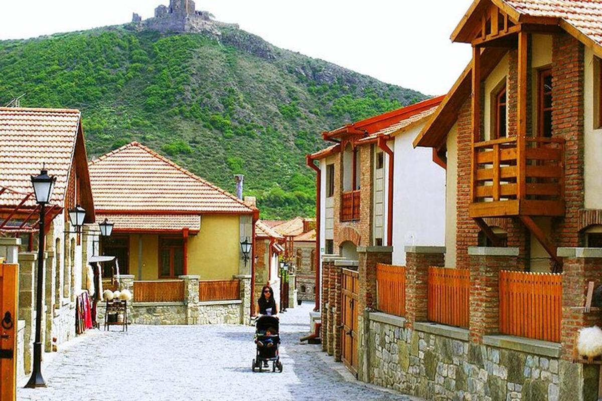 žena tlačící kočárek po ulici