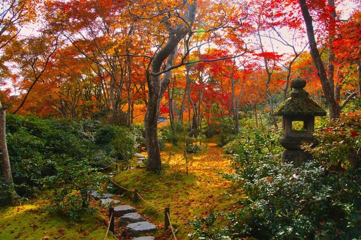 a garden in the fall with a stone path and trees
