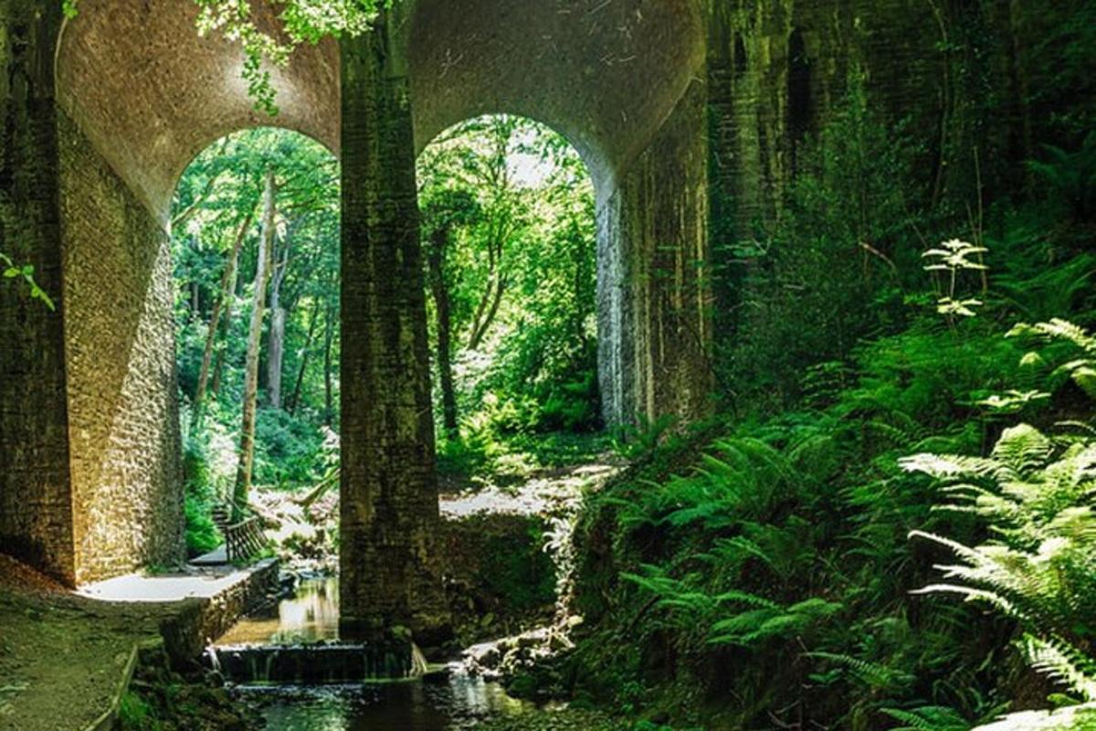 Fotografia da atração 3