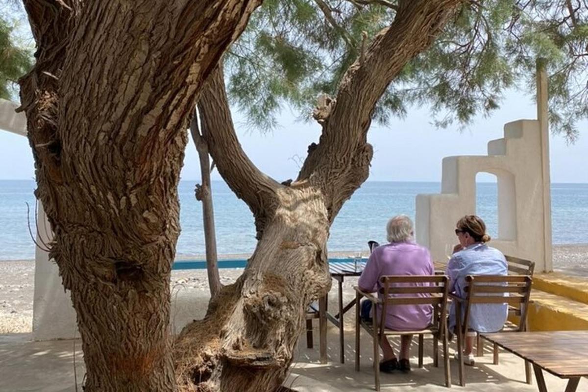 due persone sedute a un tavolo sotto un albero vicino alla spiaggia
