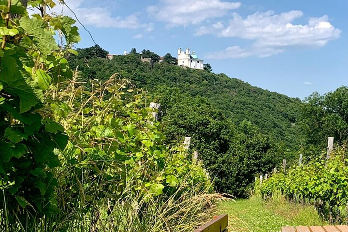 un castello in cima a una collina con alberi