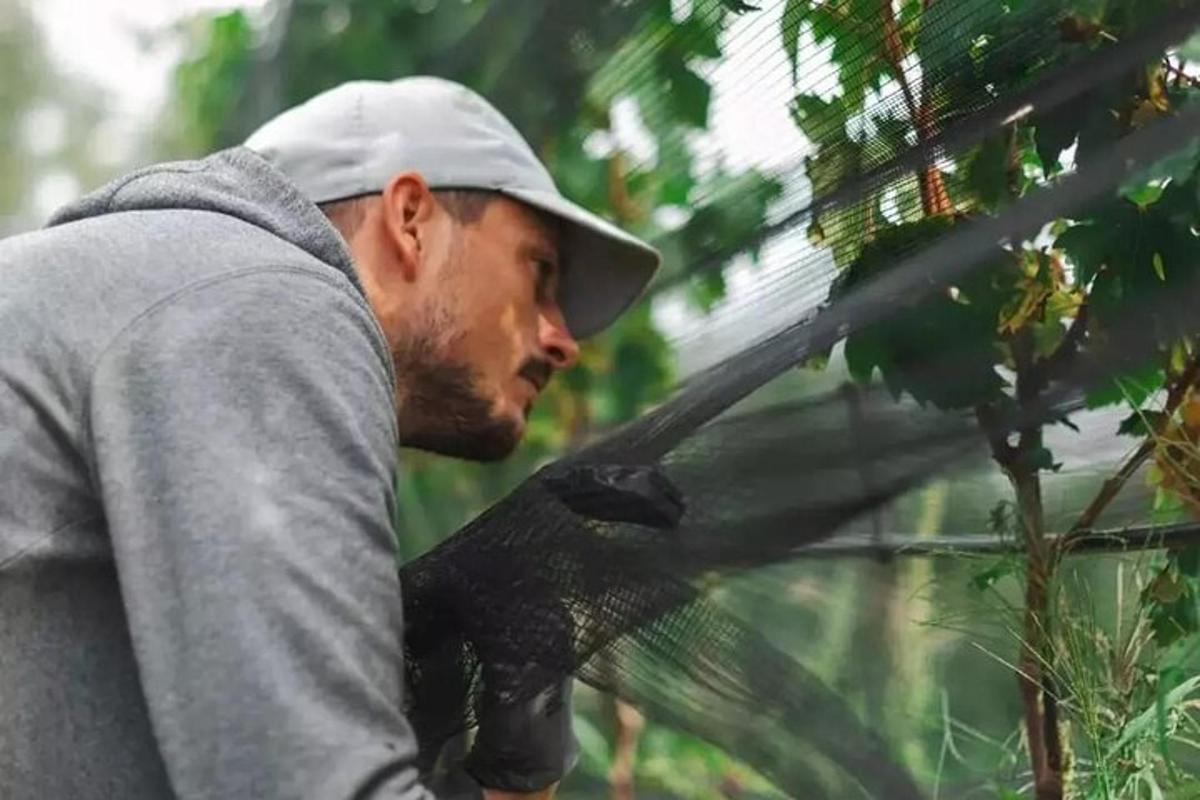 un uomo che indossa un cappello in piedi accanto a un albero