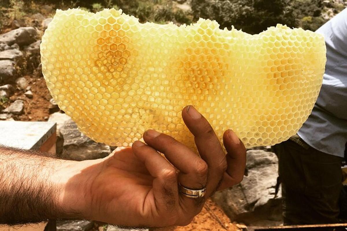 seseorang memegang sepotong jagung di tangannya