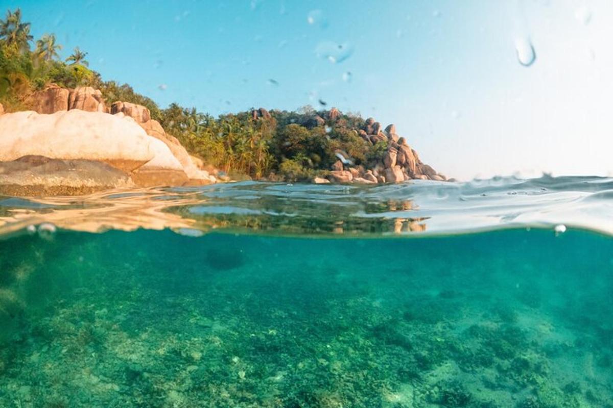 Blick auf ein Gewässer mit einer Insel