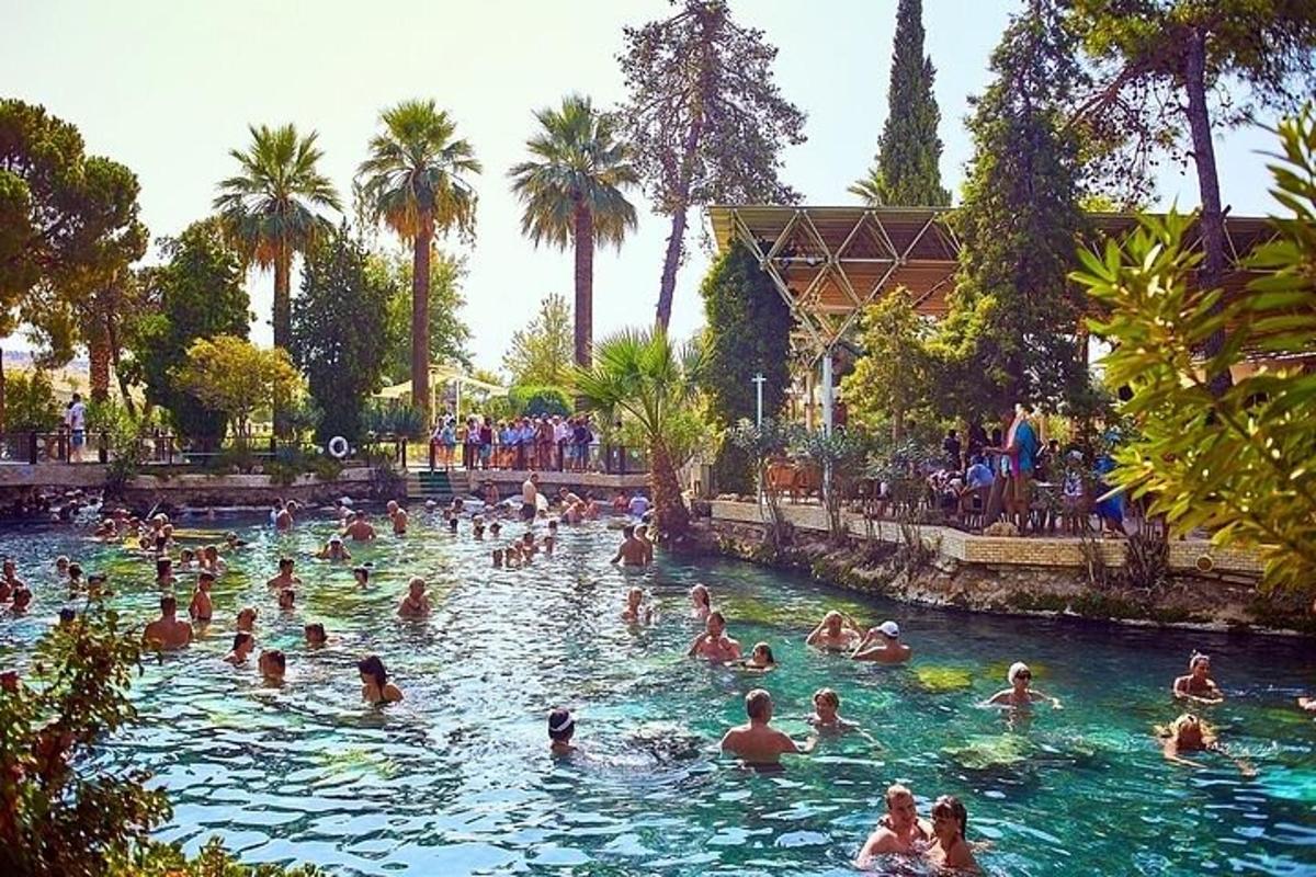 un gruppo di persone che nuotano in una piscina