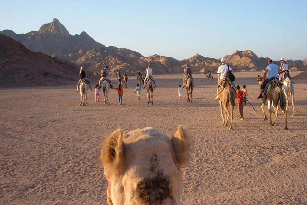 eine Gruppe von Menschen reitet am Strand