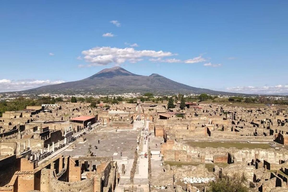 una vista d'una ciutat amb una muntanya al fons