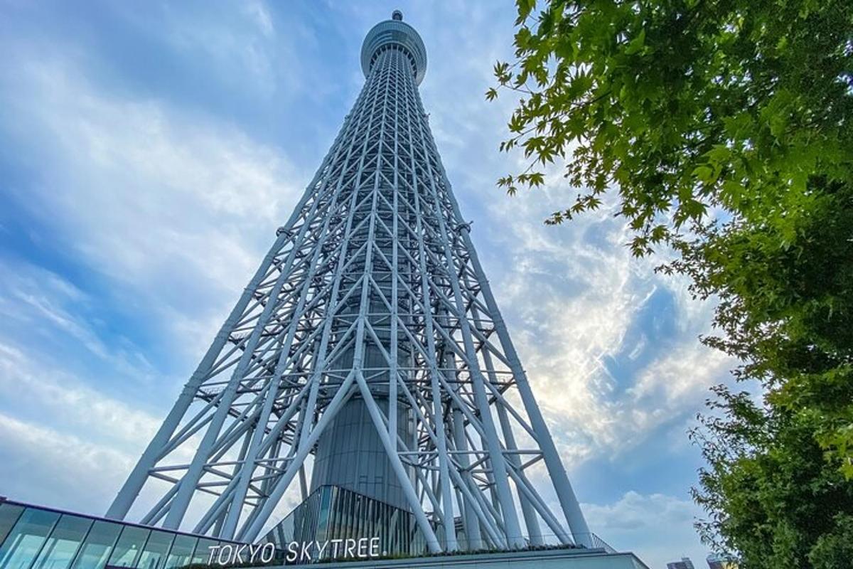 una vista de la Torre Eiffel des del terra