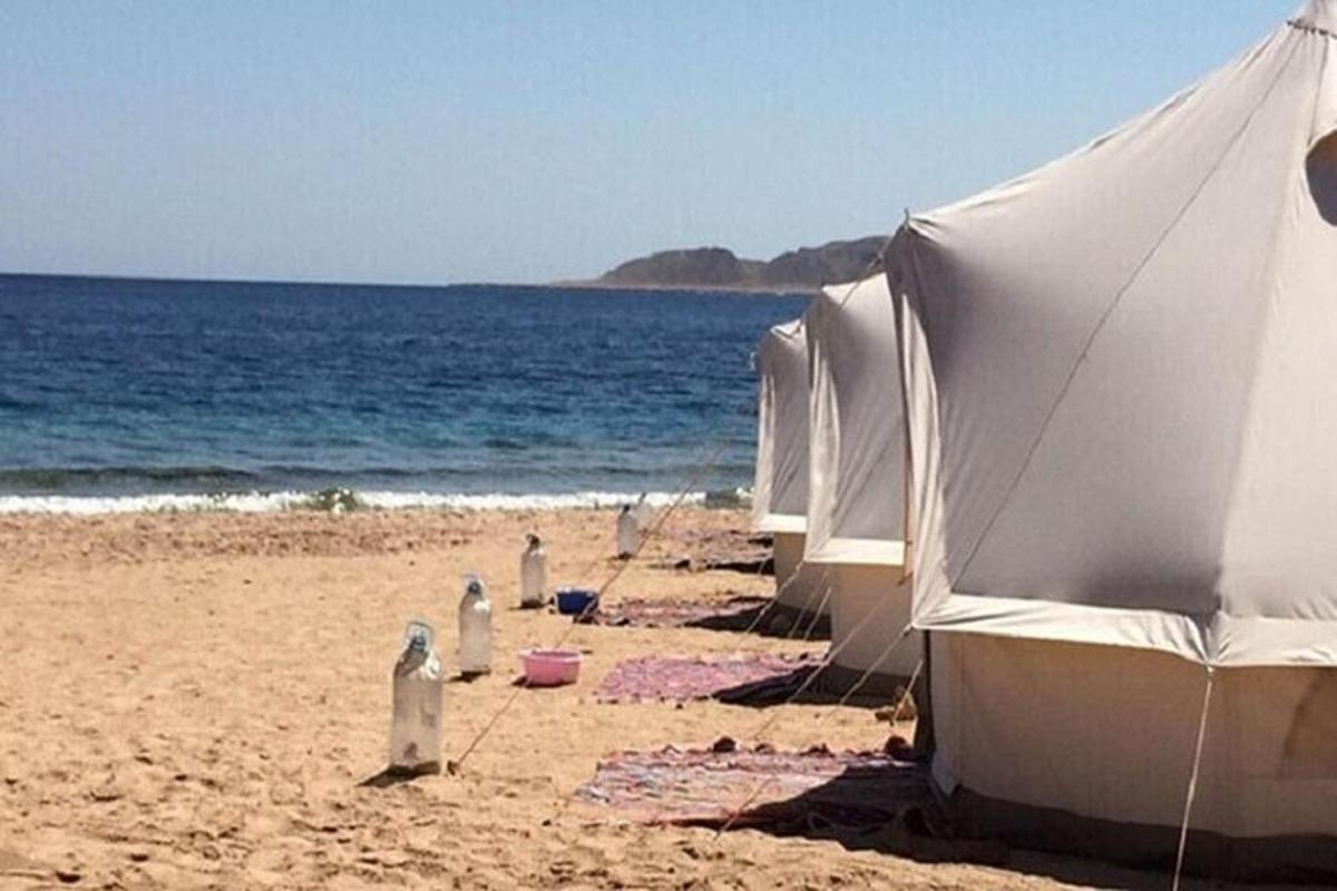 un gruppo di ombrelloni su una spiaggia con l'oceano
