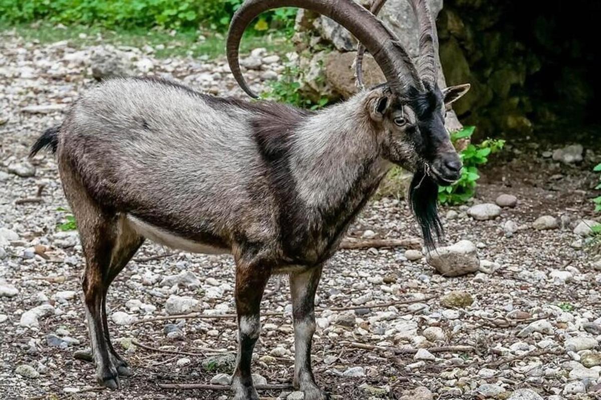 Φωτογραφία αξιοθέατου 3