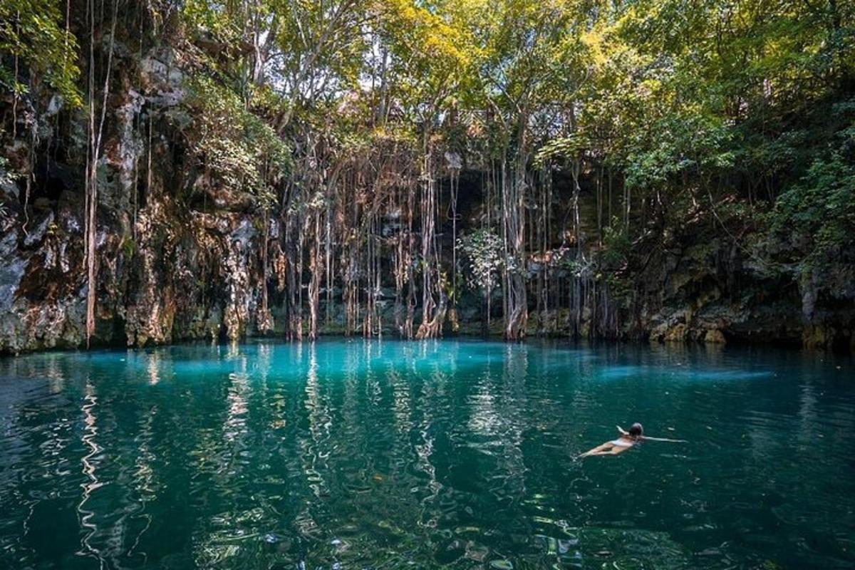 kachna plave v kaluži modré vody