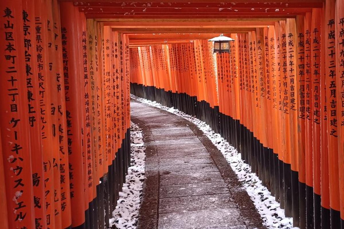 egy sor narancssárga torii kapu egy templomban