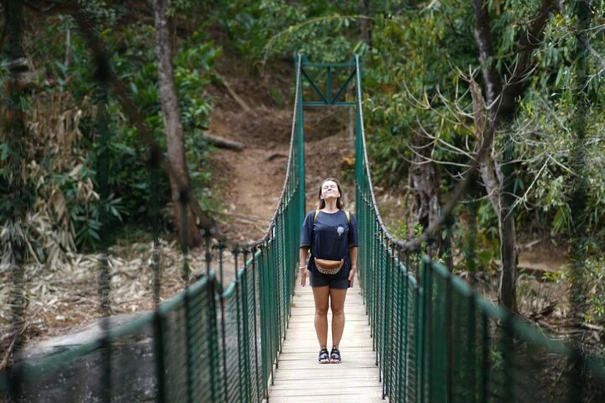 a woman walking across a bridge in a forest