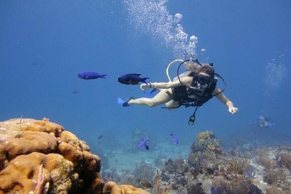 člověk se potápí v oceánu s rybami