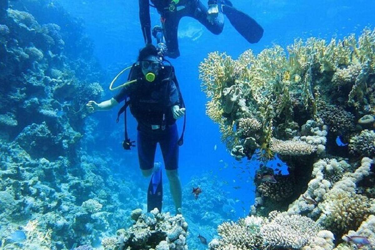 potápěč v oceánu pozorující korálový útes