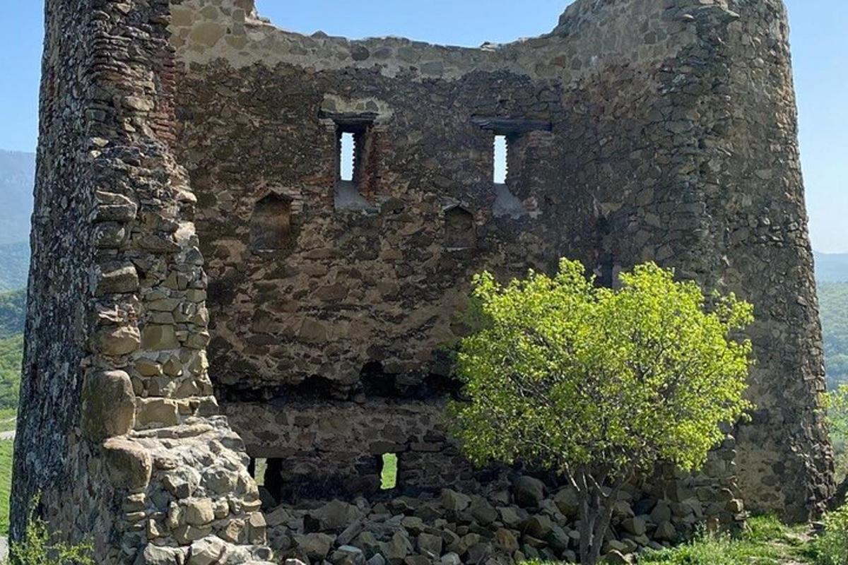 vana kivihoone, mille ees oli puu