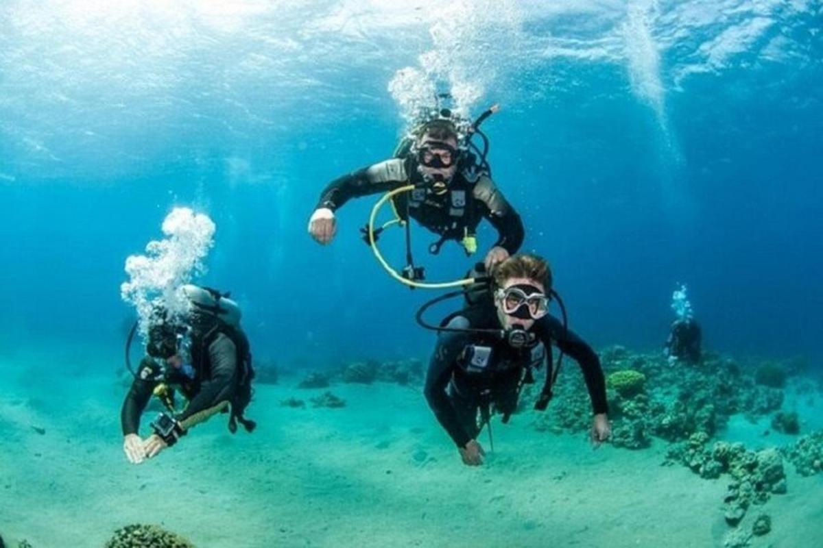 un gruppo di persone che nuotano nell'acqua