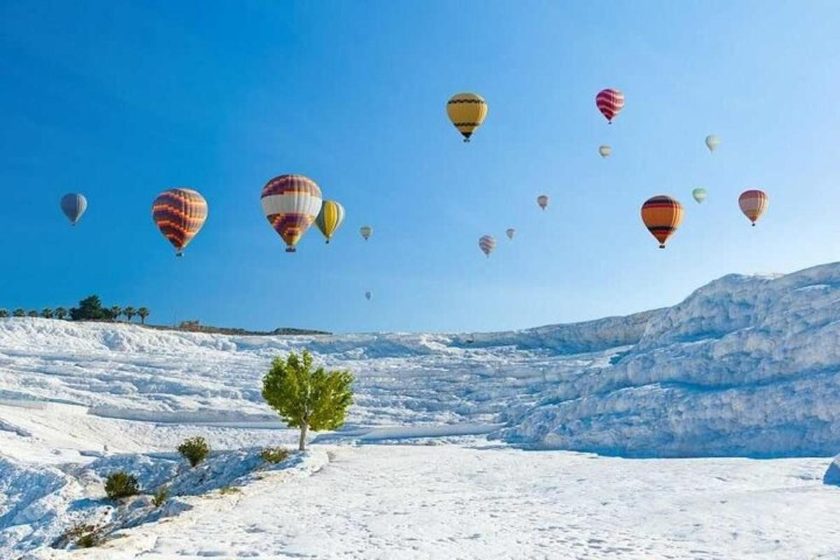 مجموعة من البالونات الهوائية الساخنة تحلق في السماء