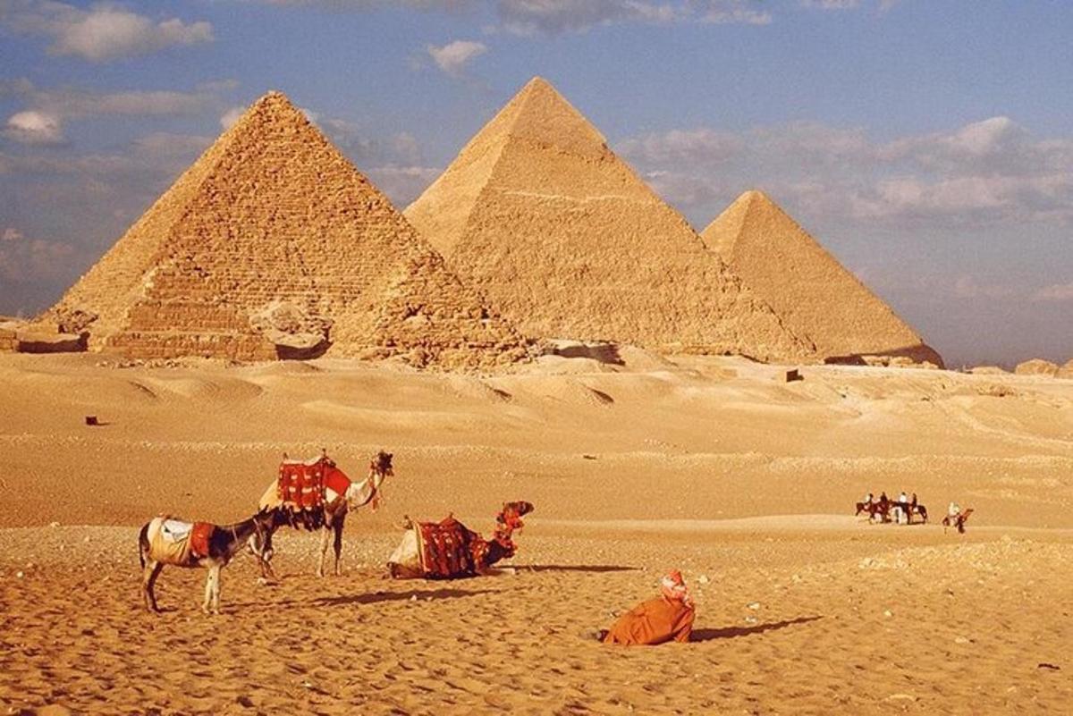 Skupina velbloudů před pyramidami