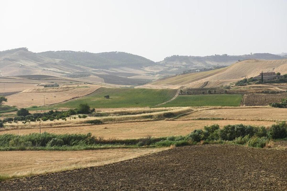 arka planda tepelerin olduğu bir tarlanın görünümü