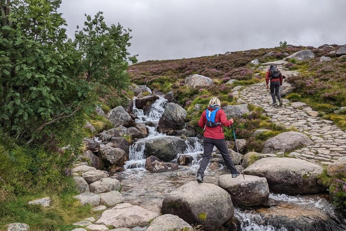 Bilde 4 av attraksjonen