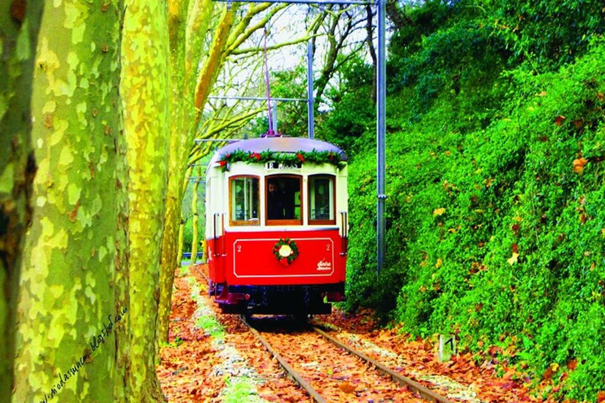 um trem vermelho e branco viajando pelos trilhos