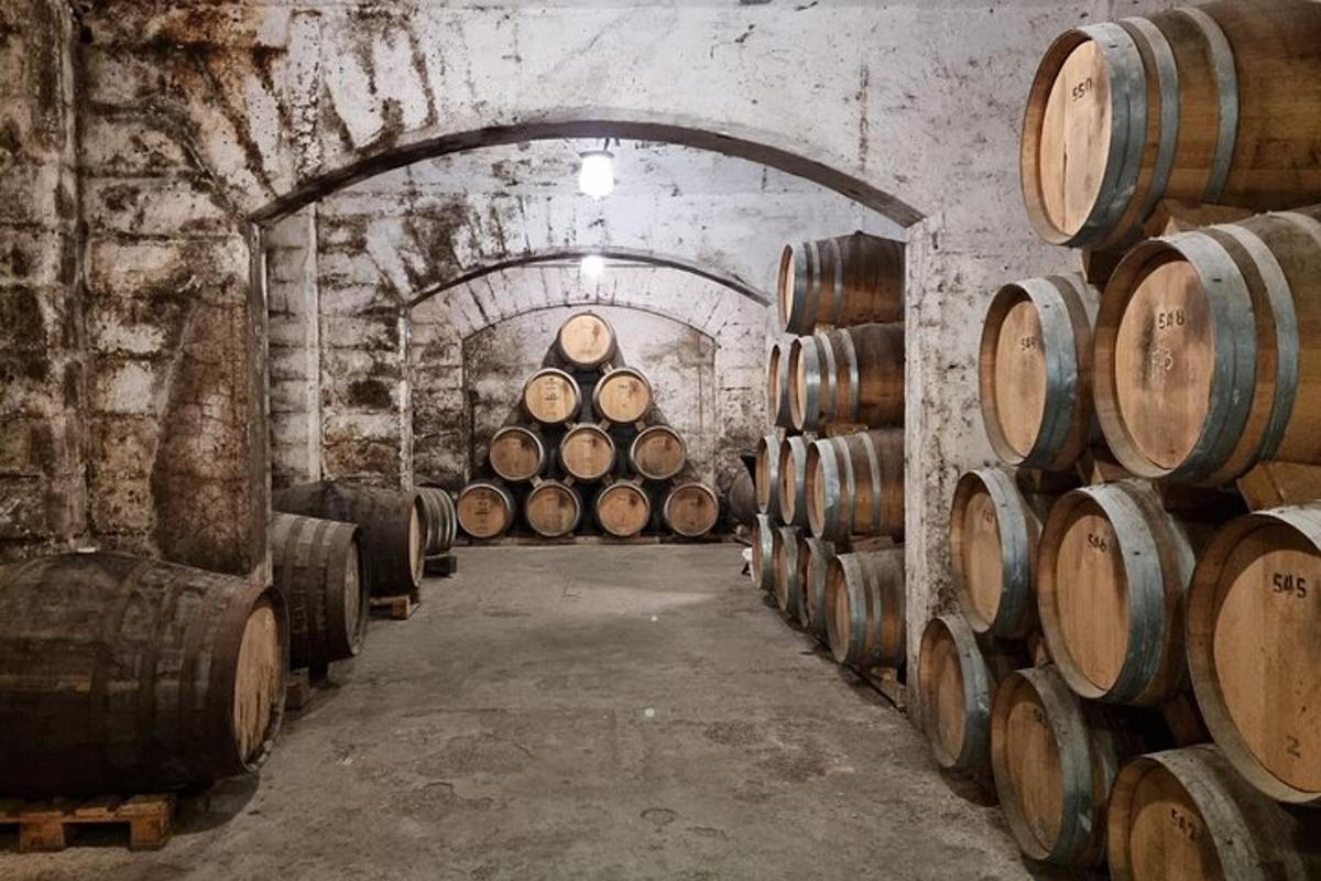 isang silid na may isang bungkos ng mga bariles sa isang cellar