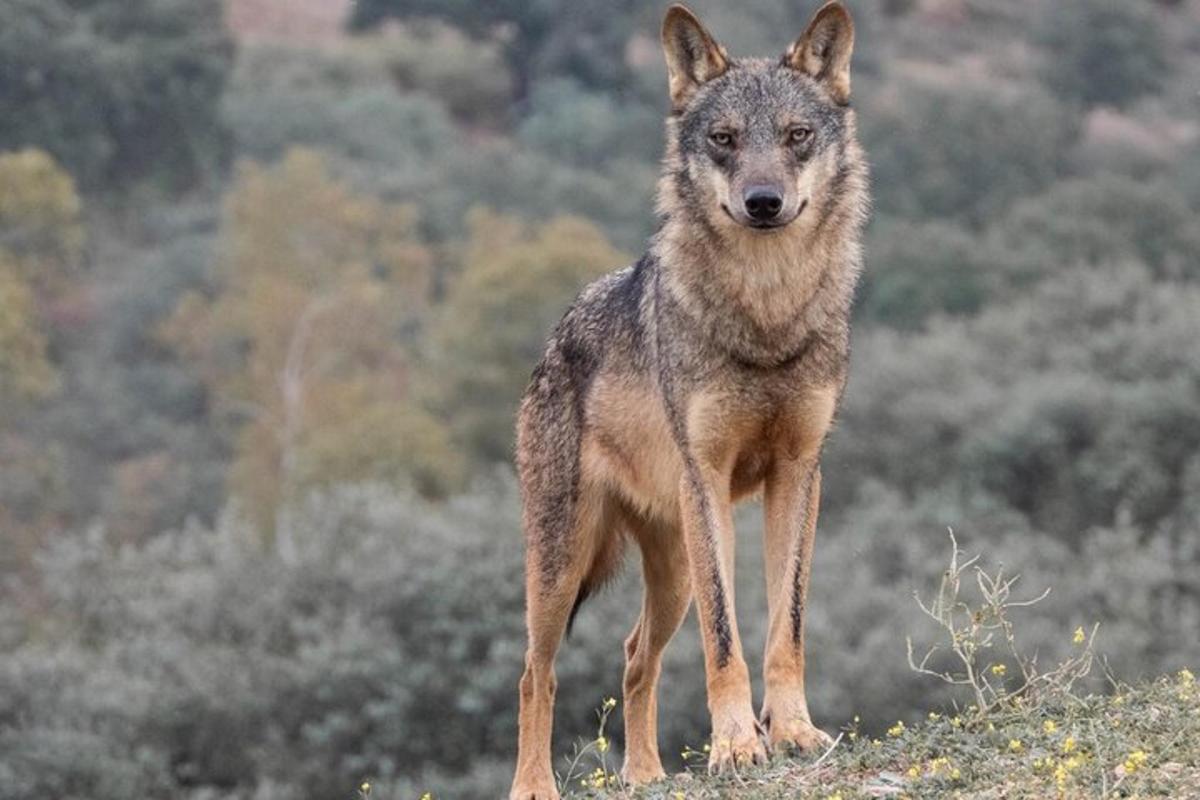 Lankytinos vietos ar pramogos nuotrauka numeris 1