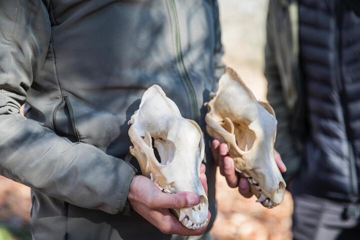 Lankytinos vietos ar pramogos nuotrauka numeris 4