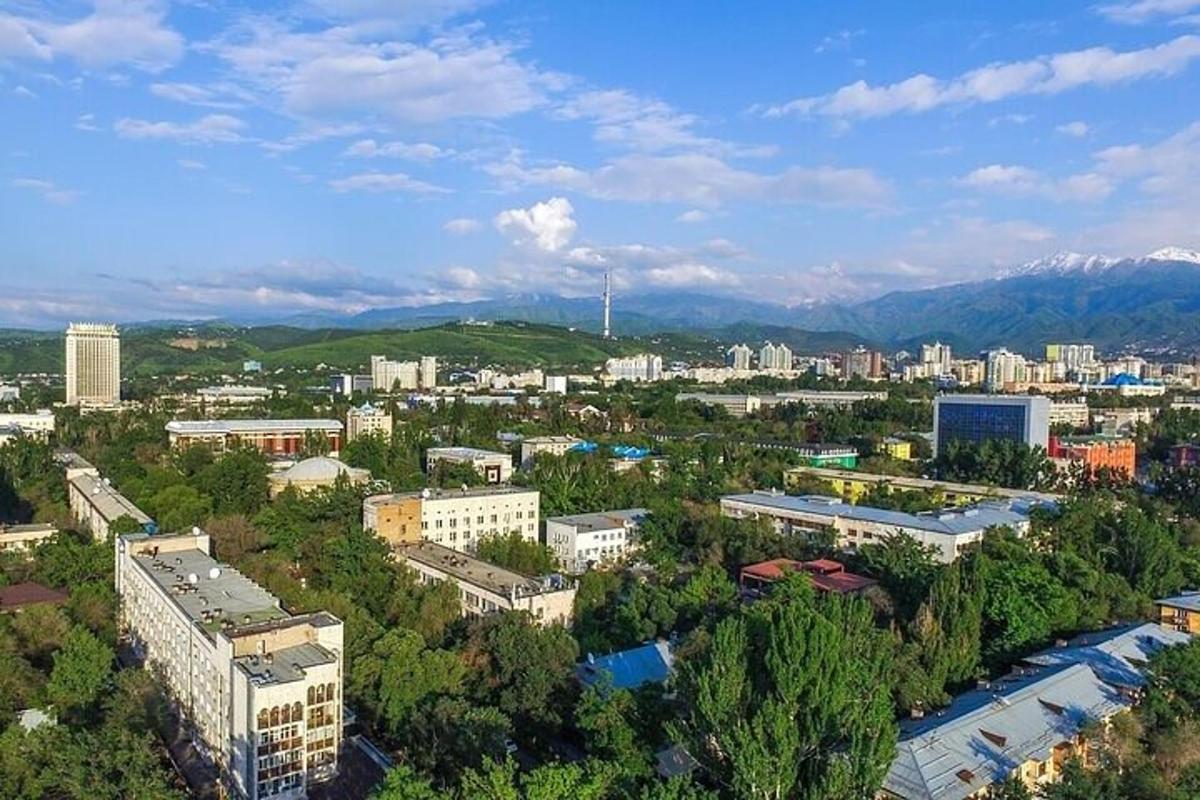 una vista aerea di una città con edifici e alberi