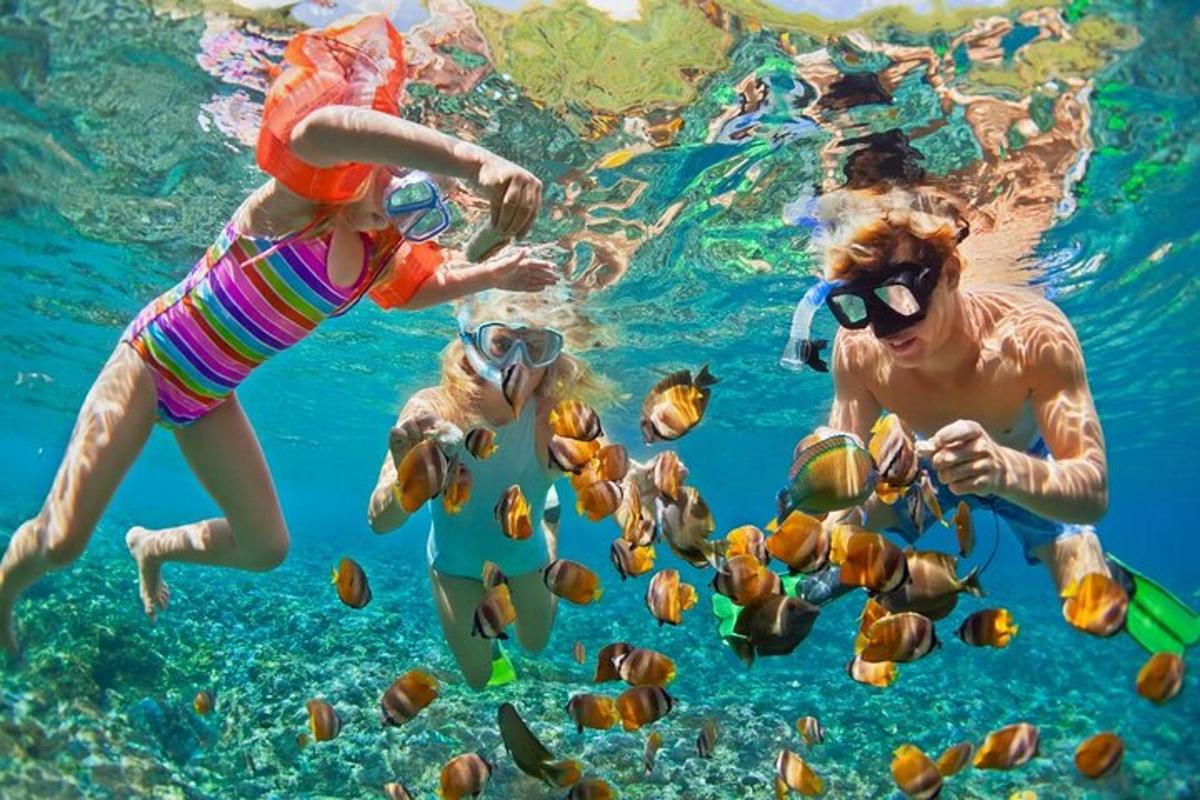 Un grupo de personas nadando en el agua con peces.